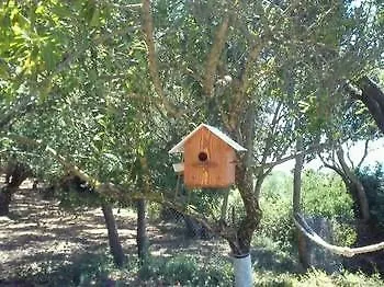 Sofos Apartman *