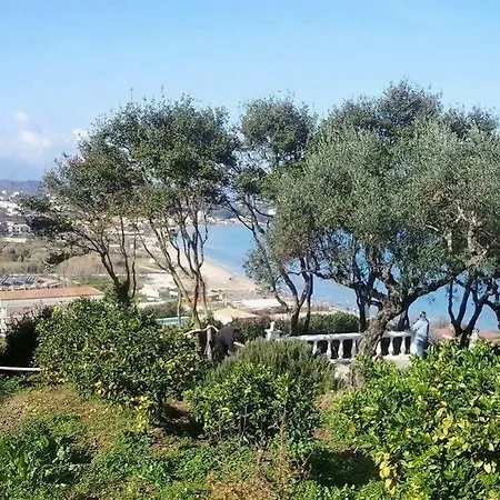 Apartman Sofos *