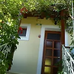 Sofos * Tsilivi (Zakynthos)