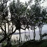 Sofos Lägenhet Tsilivi (Zakynthos)