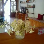 Sofos Tsilivi (Zakynthos)