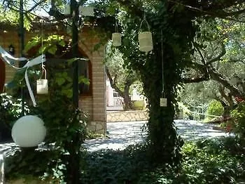 Apartment Sofos Tsilivi (Zakynthos)