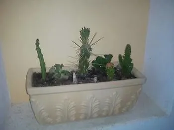 Apartment Sofos