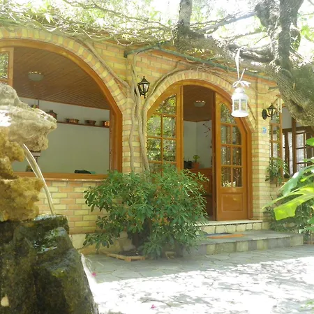 Apartment Sofos Tsilivi (Zakynthos)