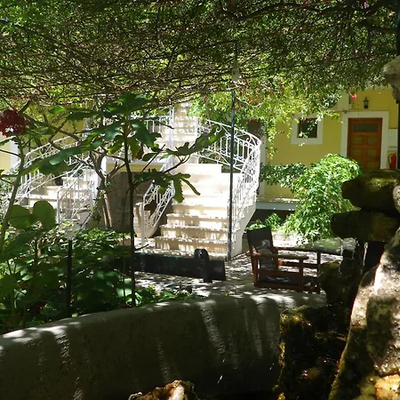 Sofos * Tsilivi (Zakynthos)