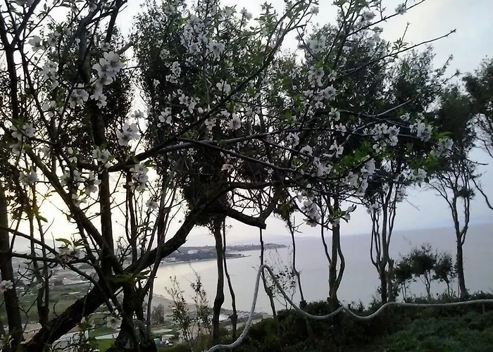 Sofos Daire Tsilivi (Zakynthos)