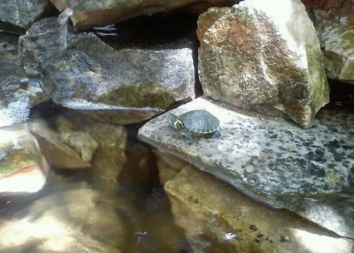 Sofos Tsilivi (Zakynthos)