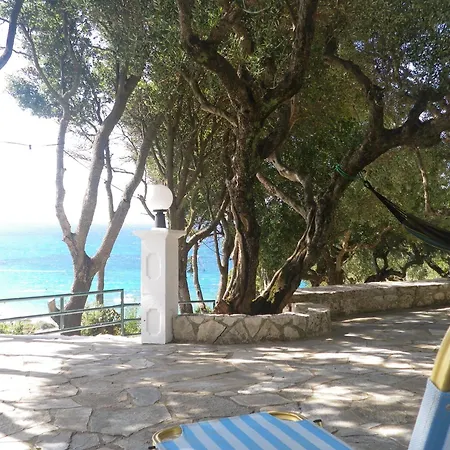 Sofos * Tsilivi (Zakynthos)