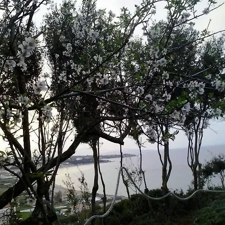 Sofos Lägenhet Tsilivi (Zakynthos)