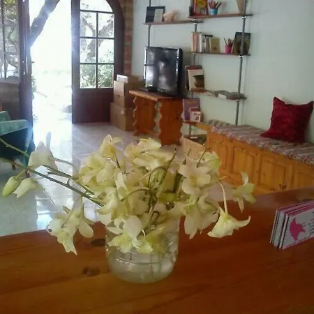 Sofos Tsilivi (Zakynthos)