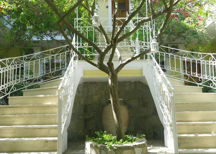 Sofos * Tsilivi (Zakynthos)